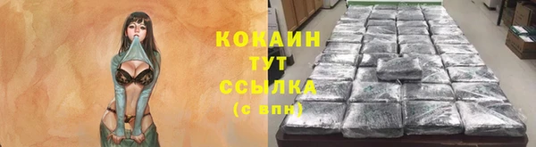 дмт Магас