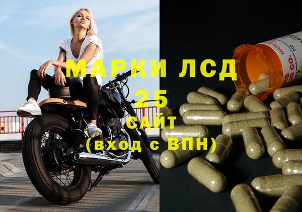 дмт Магас