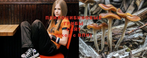 дмт Магас
