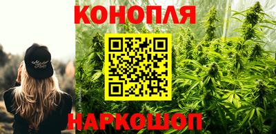 крисы Бийск