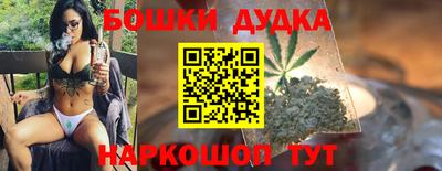 крисы Бийск
