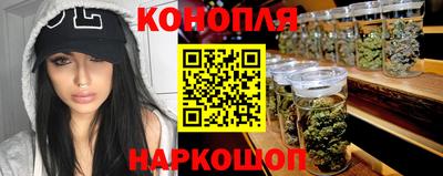 крисы Бийск