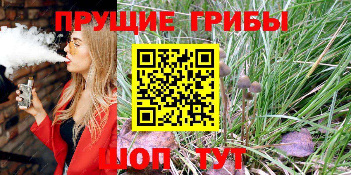 Галлюциногенные грибы мицелий  Вход с VPN  Десногорск 