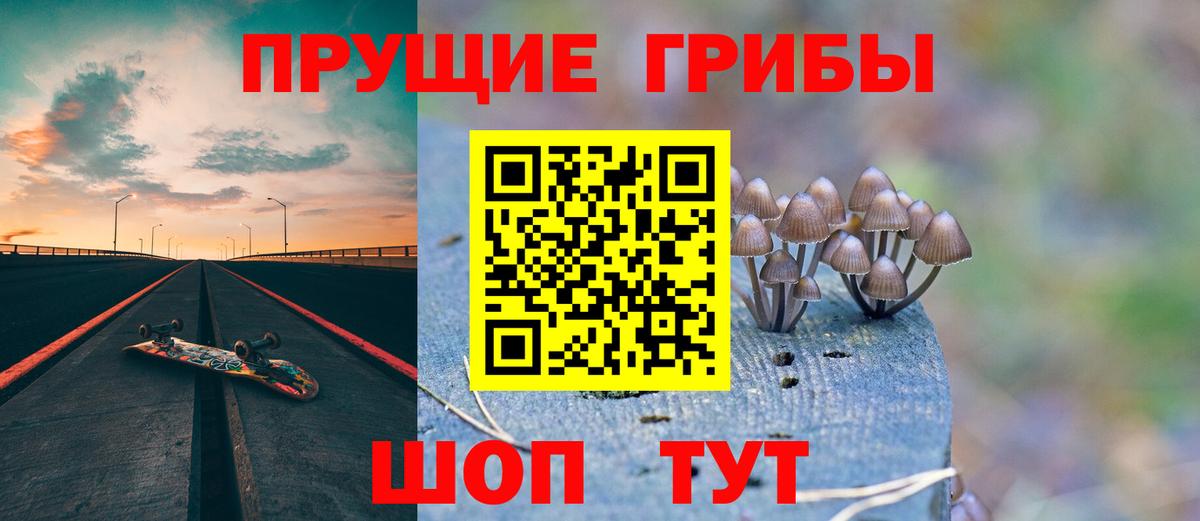 Галлюциногенные грибы Psilocybine cubensis Десногорск