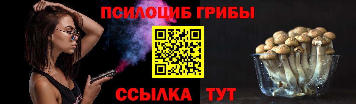 Псилоцибиновые грибы Десногорск
